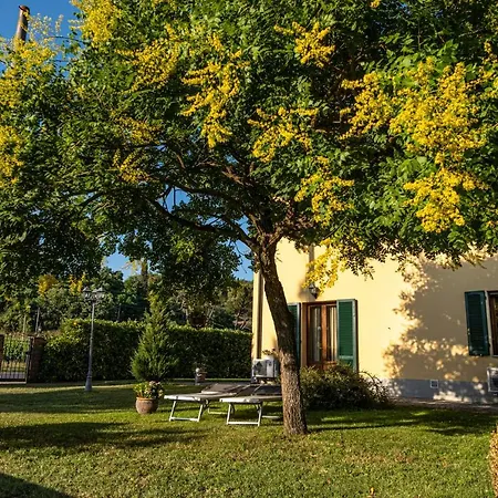 La Serra Kır Evi San Miniato